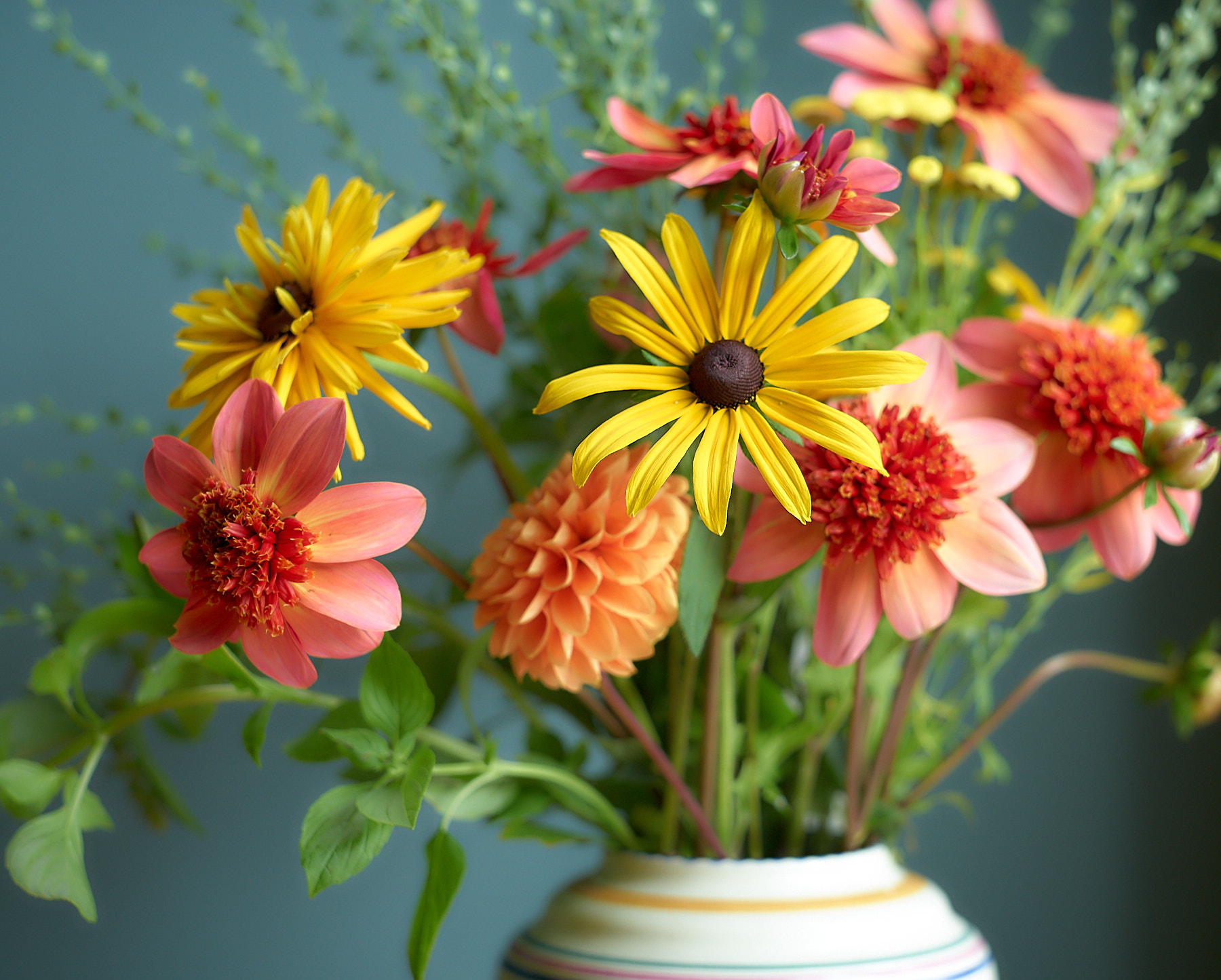 CSA Flowers